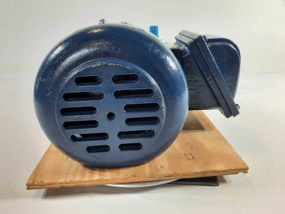 Viking G475 Pump w/ Westinghouse 1HP Motor