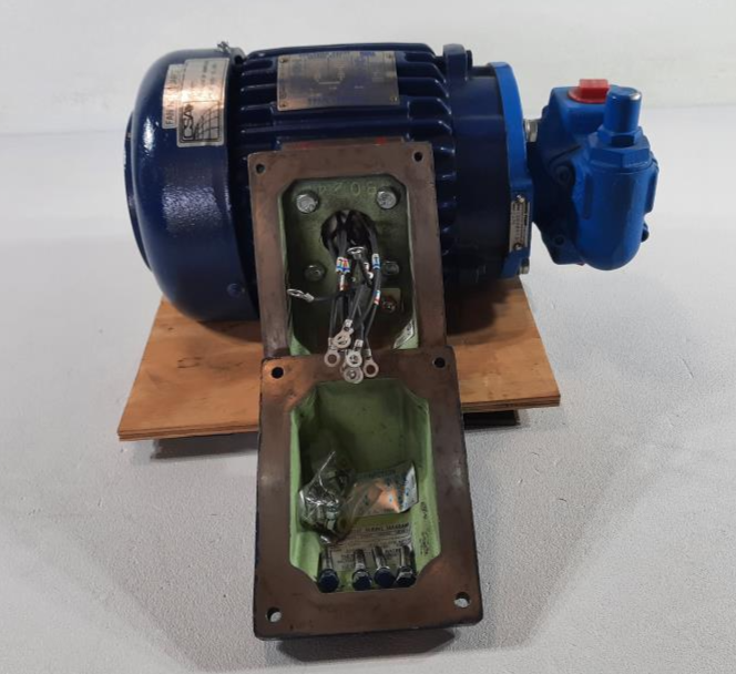 Viking G475 Pump w/ Westinghouse 1HP Motor