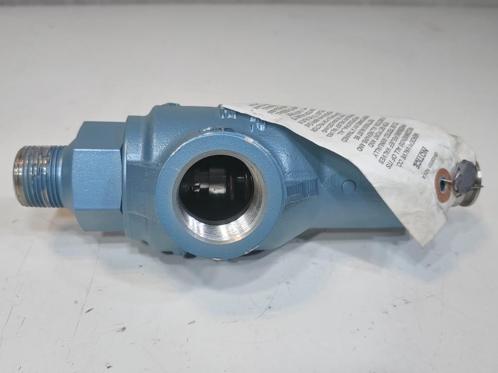 Mercer 3/4" NPT 150# CF3M Relief Valve 91-12D71T07L1