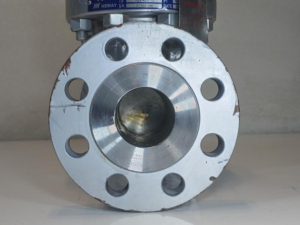 Neway 2" 300# Flanged WCB Swing Check Valve