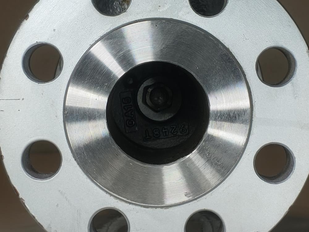 Neway 2" 300# Flanged WCB Swing Check Valve