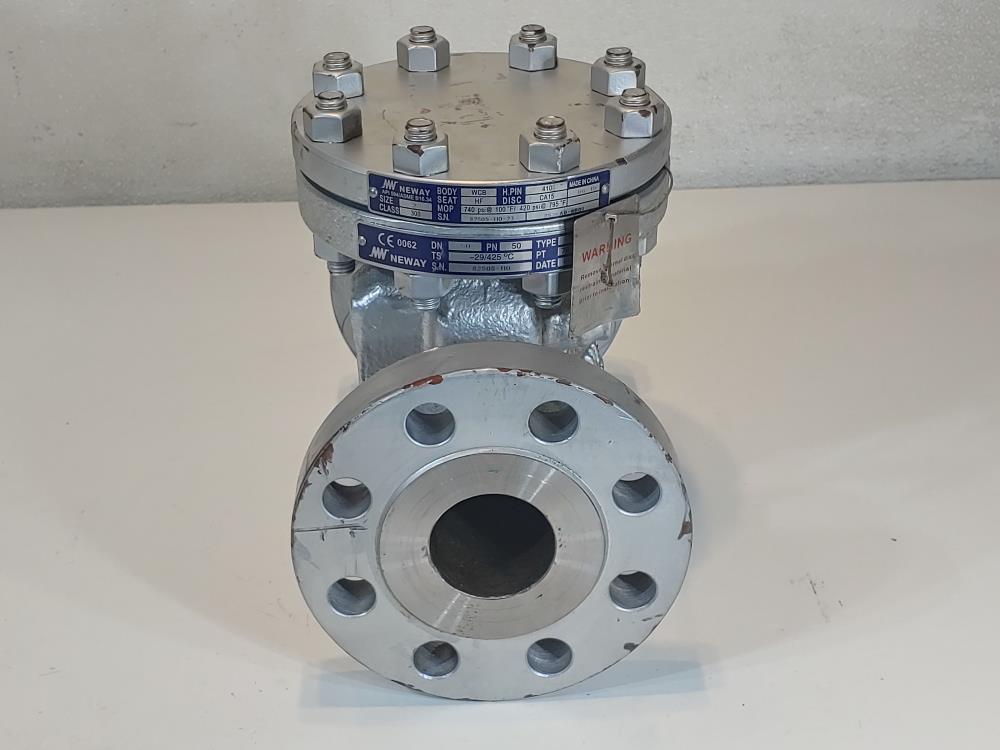 Neway 2" 300# Flanged WCB Swing Check Valve