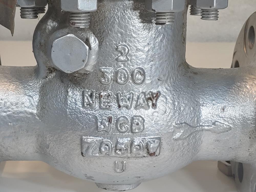 Neway 2" 300# Flanged WCB Swing Check Valve