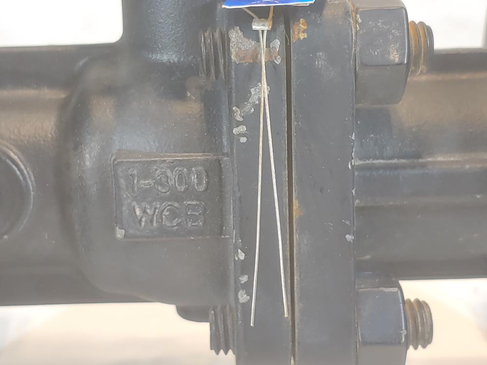 Warren 1" 300# 2-Piece WCB Ball Valve