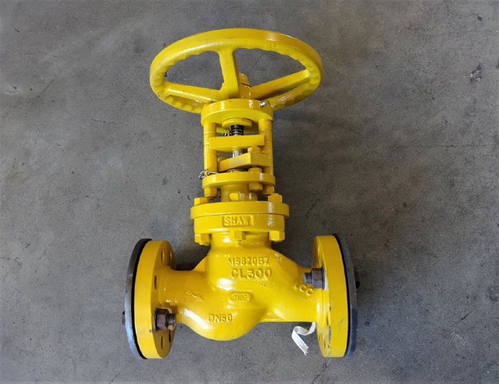 TAYLOR SHAW 2" 300# BELLOWS SEAL GLOBE VALVE LCC MATERIAL, FIG# M5822