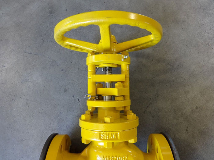 TAYLOR SHAW 2" 300# BELLOWS SEAL GLOBE VALVE LCC MATERIAL, FIG# M5822