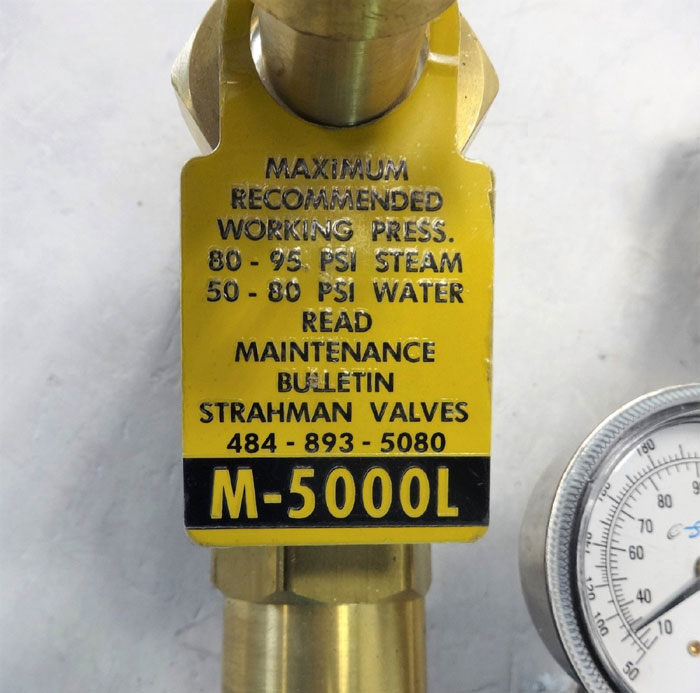 Strahman M-5000L Steam & Cold Water Mixing Unit